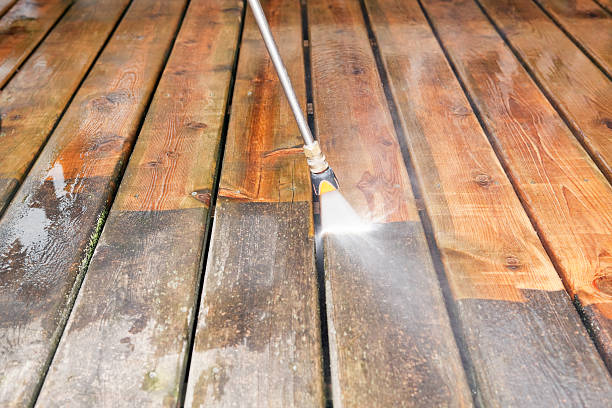 Best Residential Exterior Washing  in Powell, WY